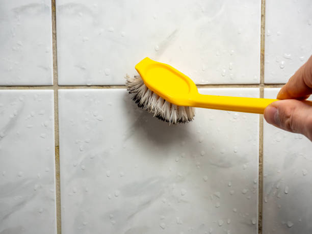 Best Fast Mold Removal  in San Diego, TX
