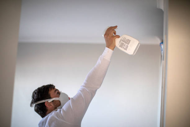Best Same-Day Mold Removal  in San Diego, TX