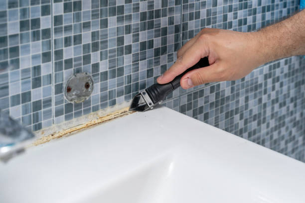 Best Residential Mold Removal  in San Diego, TX