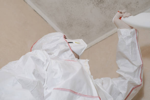 Best Attic Mold Removal  in San Diego, TX